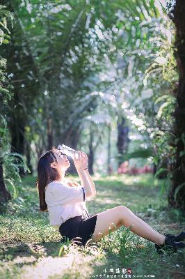 临江仙电视剧免费观看完整版